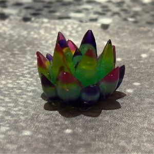 Colorful Succulent Art Piece